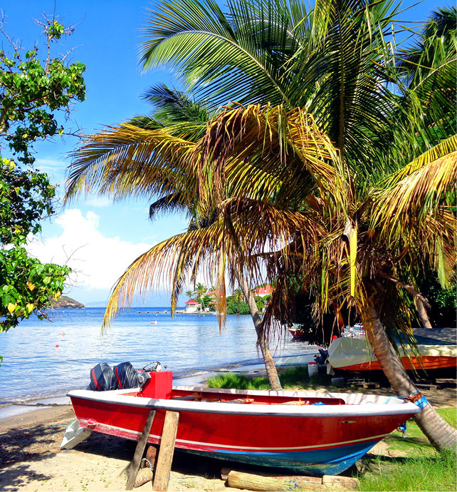 Luxury yacht near to a white sandy beach with palm trees in the Caribbean Sea