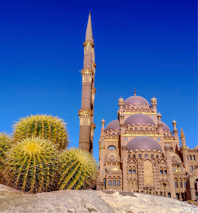 Four large round cacti on the background of the Al Mustafa Mosque in Sharm El Sheikh, Egypt