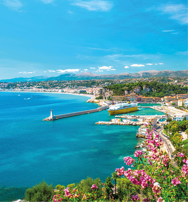 The shores of Nice, with the stunning blue sea and sky, buildings in the background, and wildflowers in the foreground